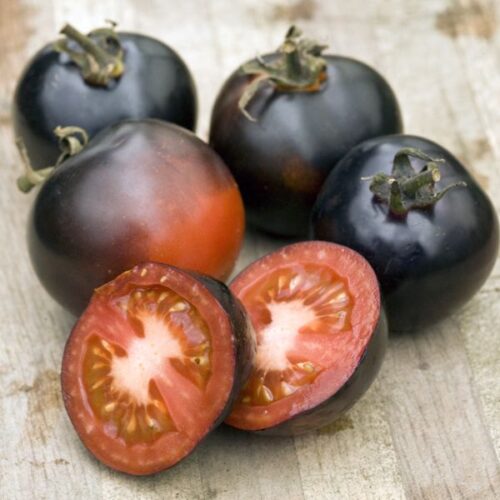 Tomate Indigo Rose Solanum Lycopersicum Sementezona