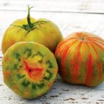 Tomate Berkeley Tie Dye - Solanum lycopersicum