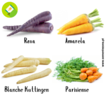 Pack/kit 4 Variedades de Cenouras