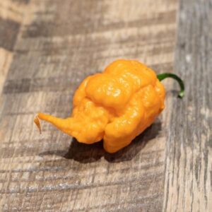 Carolina Reaper Amarela - Capsicum chinense