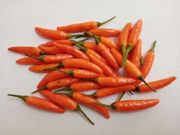 Bird's Eye - Capsicum annuum