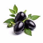 Black Olive - Capsicum annuum