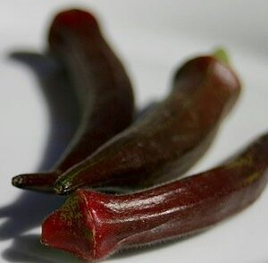 Okra Vermelha Burgundy - Abelmoschus esculentus