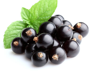 Groselha Preta (cassis) – Ribes nigrum