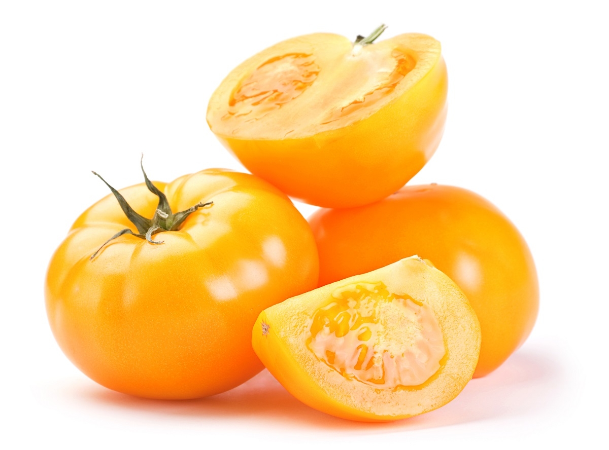 Tomate Amarelo Yellowstone - Solanum lycopersicum