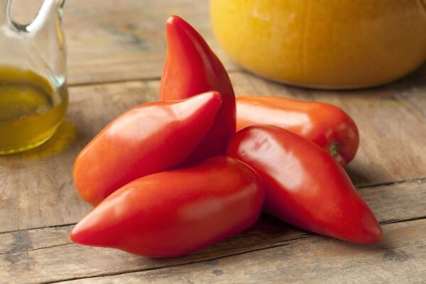 Tomate Cornue Des Andes - Solanum lycopersicum