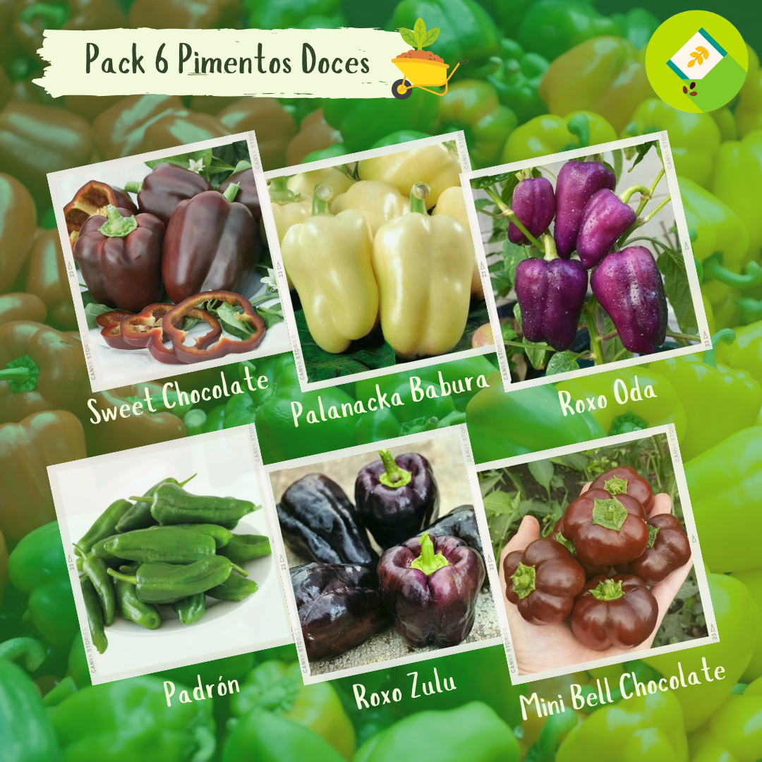 Pack 12 Pimentos Doces