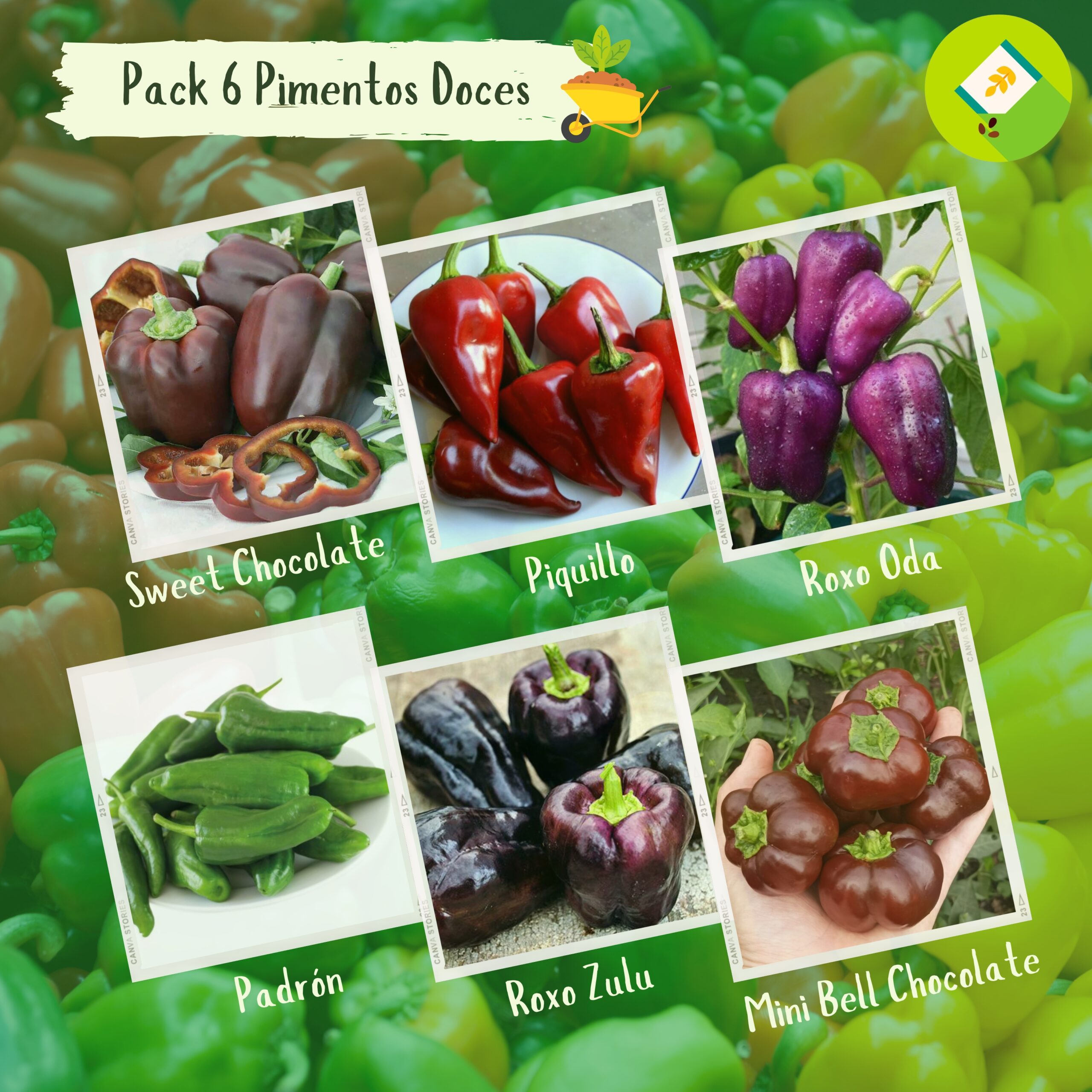 Pack 6 Pimentos Doces