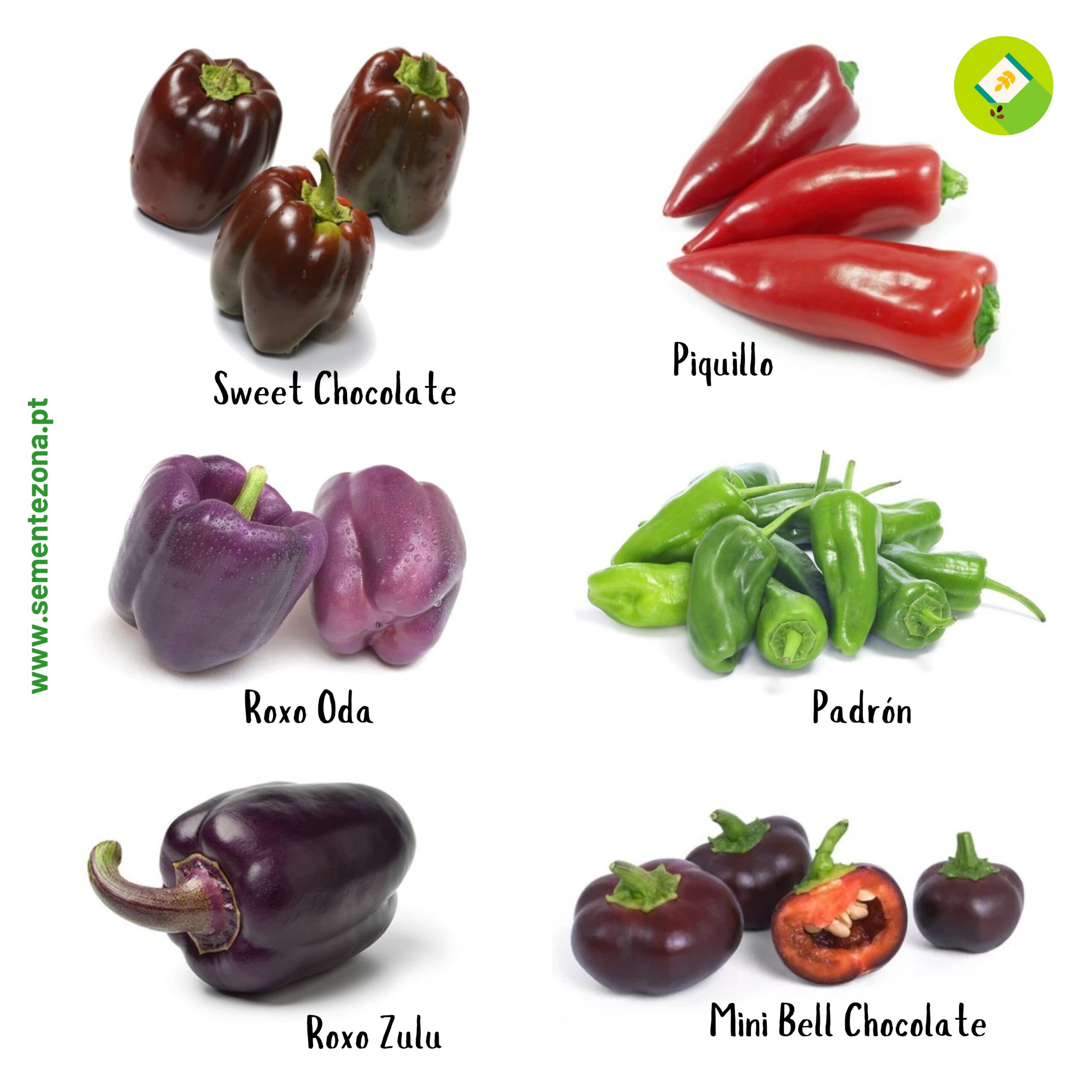 Pack 6 pimentos - sementezona