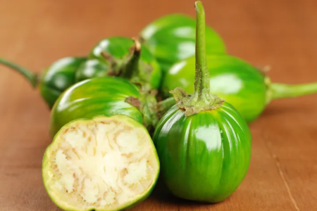 Jiló – Solanum aethiopicum