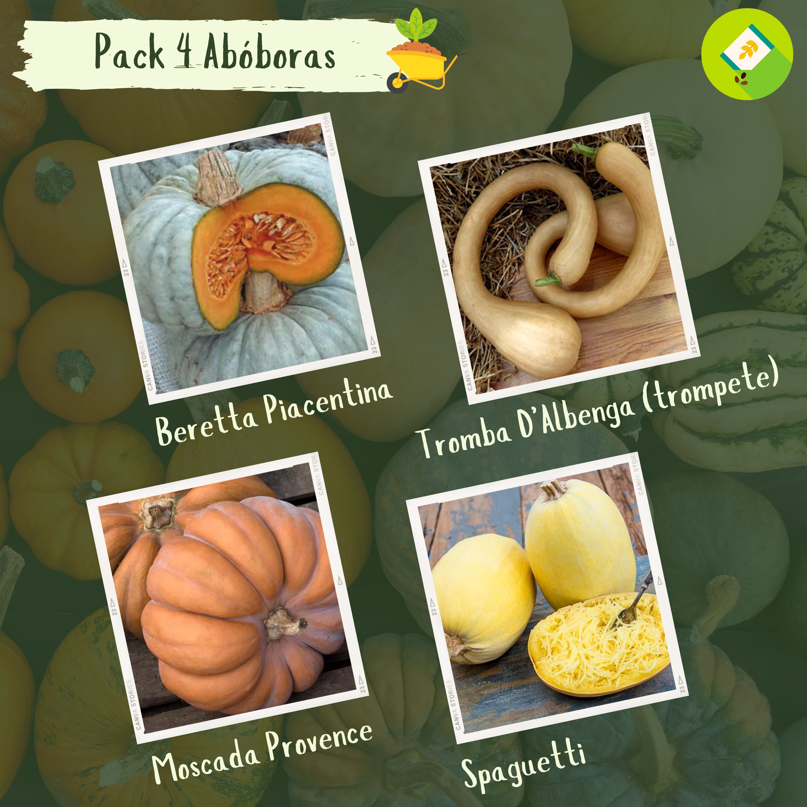 Instagram post tudo de horta fazenda verde e amarelo (1)