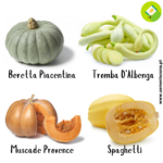 Pack/kit 4 Variedades de Abóboras