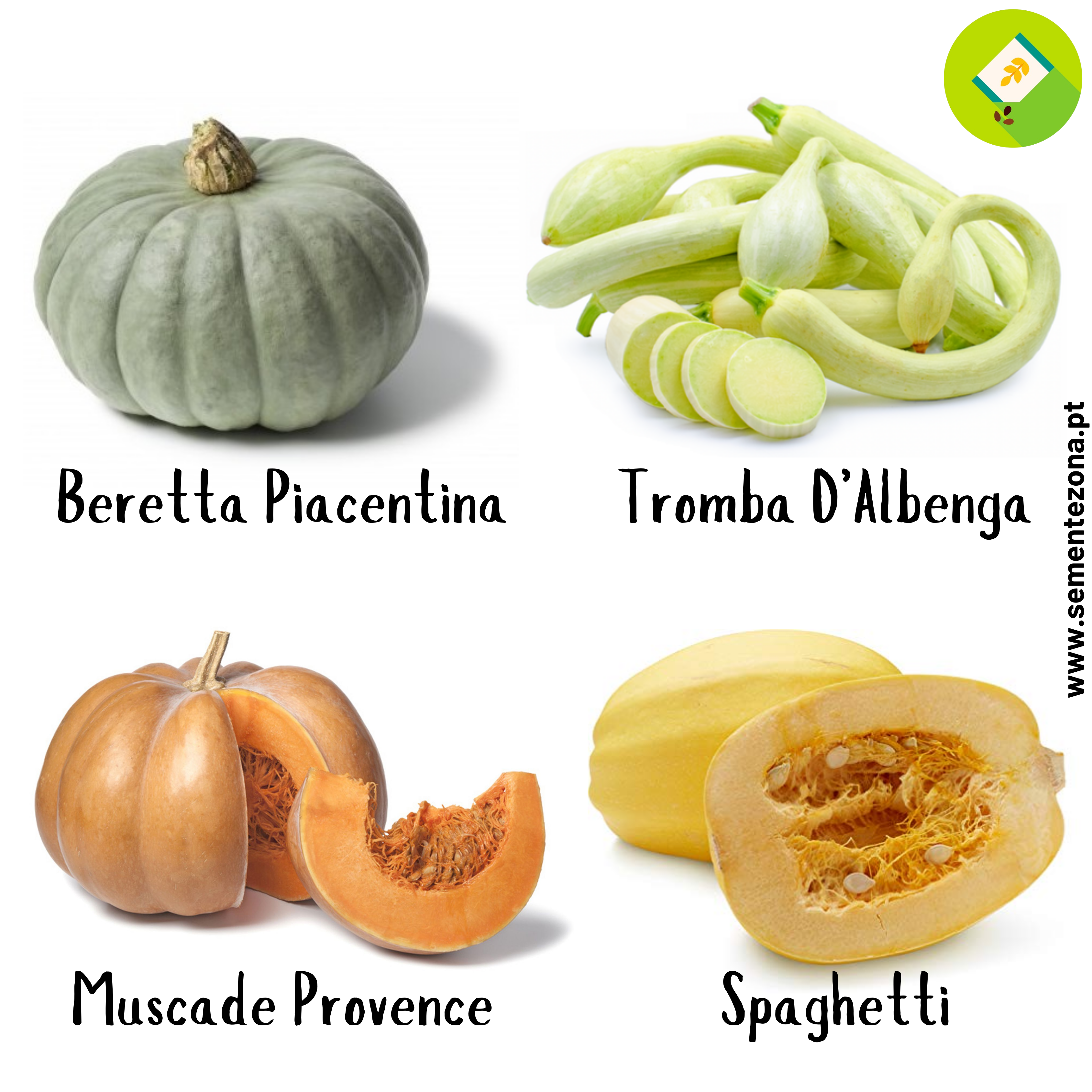 Pack 4 abóboras sementezona