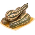 Abóbora Longa de Nápoles - Cucurbita pepo