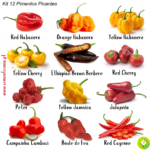 Pack/kit 12 Variedades de Pimentas Picantes (novo kit)