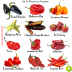 Pack/kit 12 Variedades de Pimentas Picantes (novo kit)