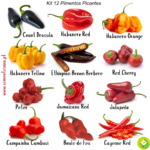 Pack/kit 12 Variedades de Pimentas Picantes (novo kit)