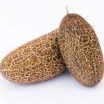 Pepino Sikkim - Cucumis sikkimensis