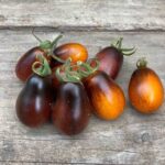 Tomate Pera Indigo - Solanum lycopersicum