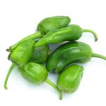 Pimento Padrón - Capsicum annuum