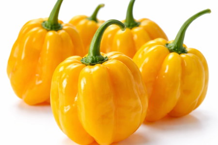 Habanero Yellow – Capsicum chinense