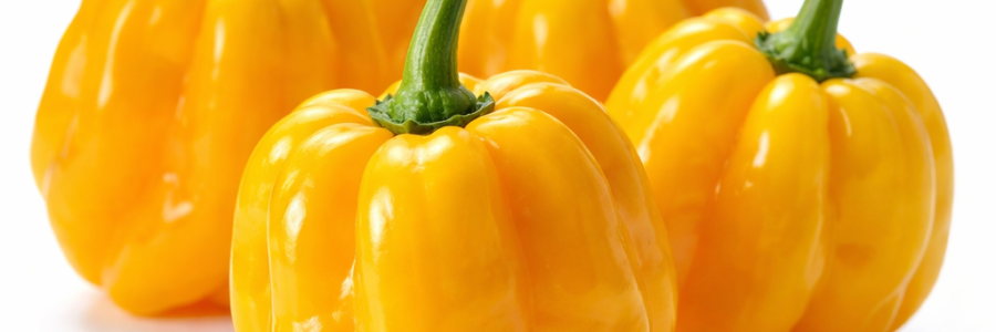 Habanero Yellow – Capsicum chinense