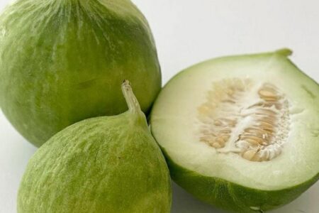 Carosello “Barattiere” – Cucumis melo