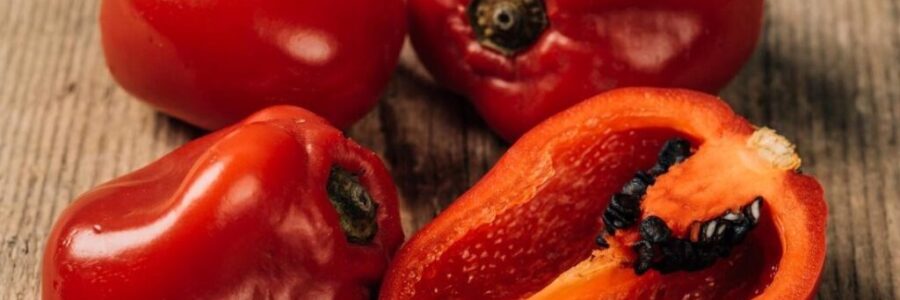 Pimento Rocoto – Capsicum pubescens