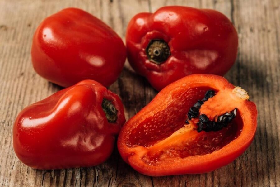 Pimento Rocoto – Capsicum pubescens