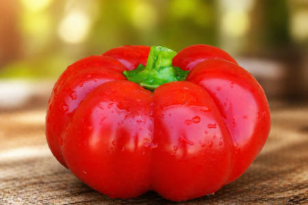 Pimento Topepo – Capsicum annuum