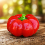 Pimento Topepo - Capsicum annuum