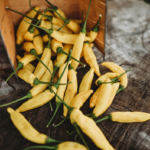 Aji Lemon Drop Peach - Capsicum baccatum