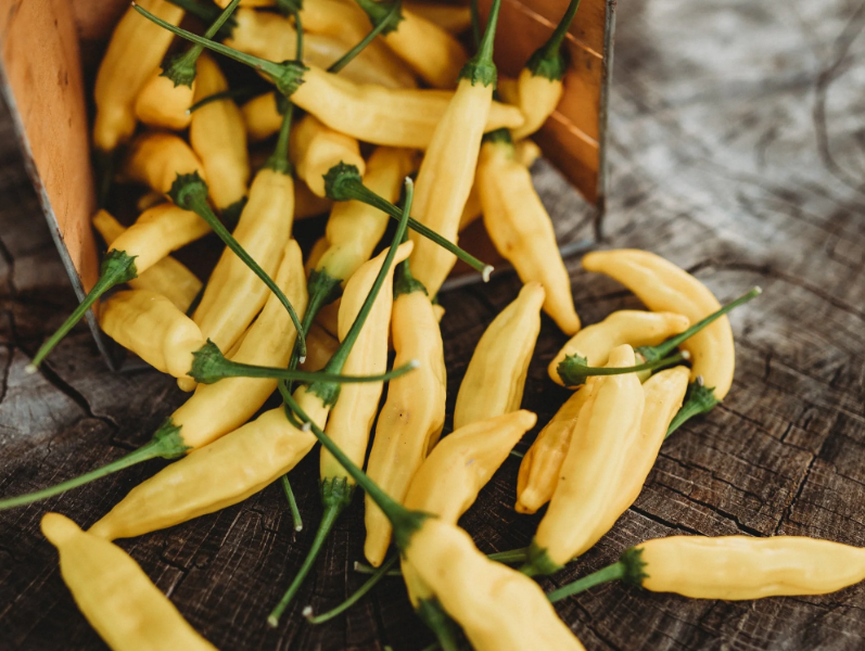 Aji Lemon Drop Peach – Capsicum baccatum
