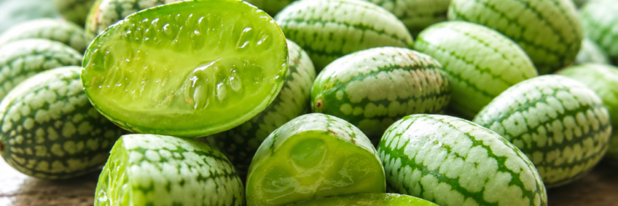 Cucamelon – Melothria scabra