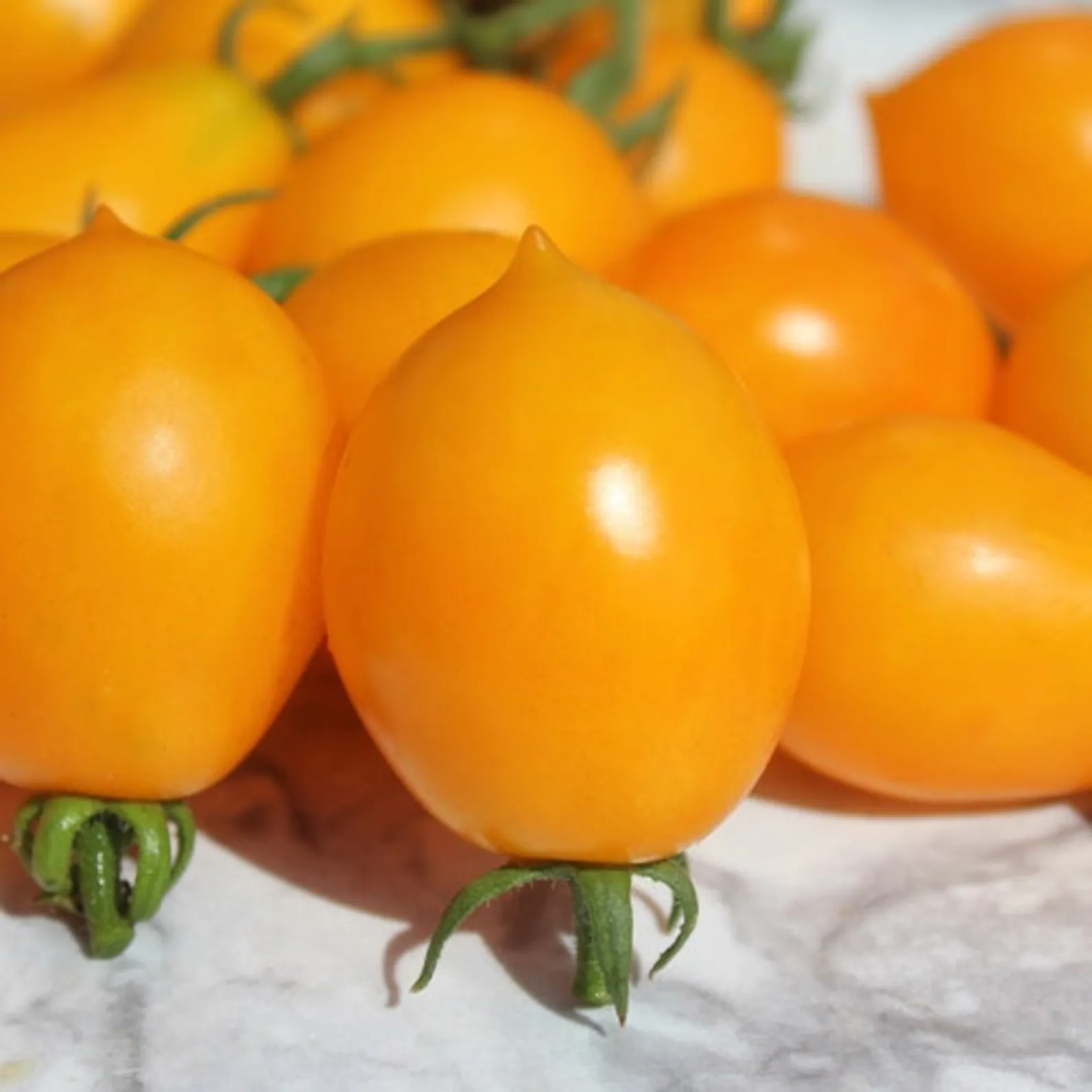 tomate piennolo2