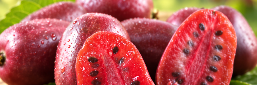 Baby Kiwi Scarlet – Actinidia arguta