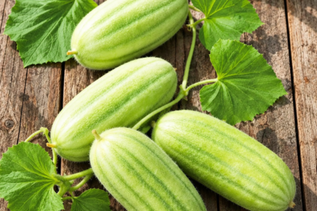 Carosello “Meio Longo” – Cucumis melo adzhur